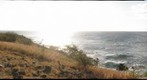 Hawaiian Civic Club 2