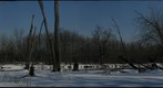 McDowell Grove Forest Preserve 2, Naperville, IL, USA