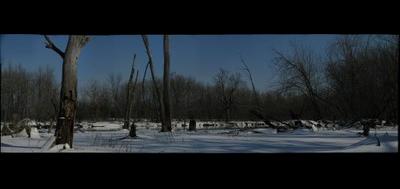 3651-400x189