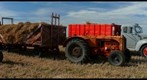 Threshing wagons, Reynolds Alberta Museum