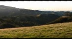Sunol View