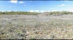 Circle Bog II