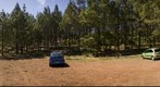 Llanos de la Pez, Tejeda. Isla de Gran Canaria