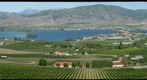 Osoyoos, BC from Anarchist Mountain summit