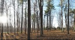 ALEX_S_SUGARBUSH _NOV11_2009_PAN_1