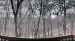 Overlooking Babcock Blvd