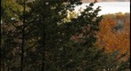 Afton State Park, MN 