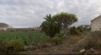 Casa vieja, Arucas. Isla de Gran Canaria