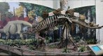 Stegosaurus