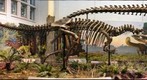 Allosaurus Hunting