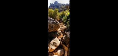 37230-400x189