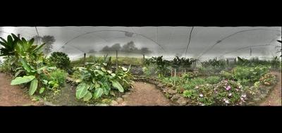 37294-400x189