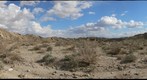June Wash, Anza-Borrego Desert State Park, San Diego County, CA, USA, 16 March 2008