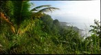 Costa Rica - Osa Coast