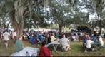 Poor Angus at the Dunedin Celtic Festival