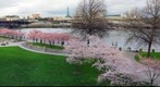 Portland Waterfront Park