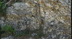 Rock formation, Ishigaki,okinawa,Japan