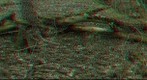 Fujifilm REAL 3D ´W1´ test (PF-Stitcher) no corr.