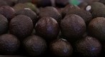 Avocados