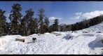 Kabloonik, Colorado - Sled Dog Easter Challenge, Count The Number of Dogs In Sceene