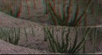 single row 3D test (Fujifilm ´W1´)