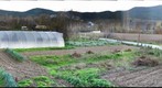 huertas del soto de cáseda