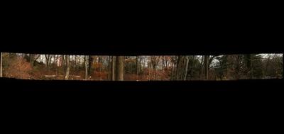37901-400x189