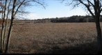 Great Meadows in Sudbury MA