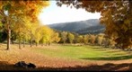 Autumn DelValle 