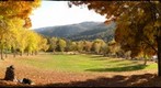 Autumn DelValle 