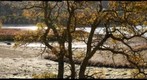 Autumn Lake