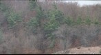 BigblowoutEast_2009_11_10_12