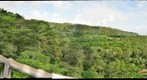 Forest above Sokubaru Dam and Reservoir, Ishijaki, Okinawa, Japan
