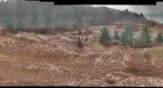 BigblowoutEast_2009_11_19_12