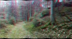 Anaglyphs with Gigapan stitcher