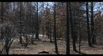palomar fire 2007 taken March 17 2008