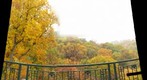 Fall-Leaf Colors Fine Gigapan Workshop at Phipps Conservatory Pittsburgh 2009