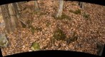 Moss Bank 2007 low B4