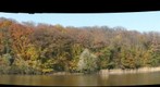 Belgrad Forest