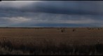 Portales Field Nov 30th, 2009