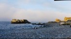 Half Moon Island on a Late Summer Afternoon