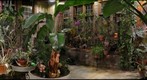 Greenhouse Easter Egg Hunt, Private Residence, Wellington, Colorado