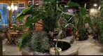 Greenhouse, Private Residence, Wellington, Colorado