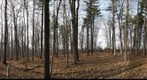 University of Guelph - Dairy Bush - 15 - Dec 02 2009 