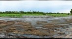 Hippo Pool, Katavi National Park