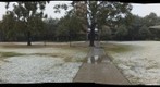 Rice Snowstorm 2009: Field of Snow - a 360-Degree Panorama 3/11