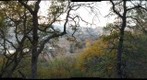 December Del Valle