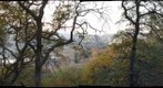 December Del Valle