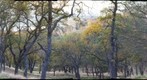 Del Valle December
