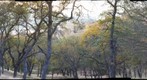 Del Valle December